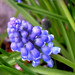 Janice White Photo 18
