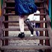 Susan Spero Photo 5