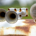 Rusty Horn Photo 11