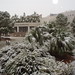 Carol Harter Photo 29