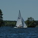Bob Shapiro Photo 33