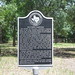 Mary Nowlin Photo 21