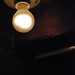 Traci Light Photo 6