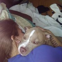 Denise Dougherty Photo 17
