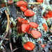 Douglas Hymas Photo 5