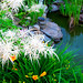 Lily Beard Photo 10