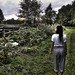 Sandra Woods Photo 18