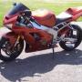Steven Haines Photo 24