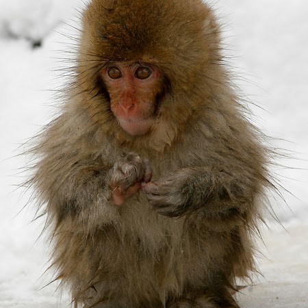 Christine Schofield Photo 15