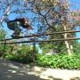 Andrew Dobson Photo 5