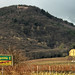 Joseph Landau Photo 19