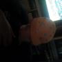Shawn Forbes Photo 22