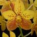 Mary Motes Photo 17