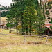 Curtis Thompson Photo 14