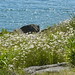 Bruce Mckay Photo 40