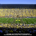 Jacob Robinson Photo 26