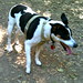 Karen Kenney Photo 29