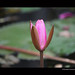 Anna Park Photo 49
