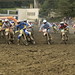 Russell Tom Photo 37