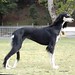 Deborah Ratliff Photo 8