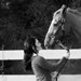 Karen Perkins Photo 19