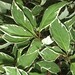Geoffrey Plant Photo 8
