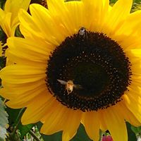 Kathleen Winters Photo 8