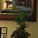Susan Plant Photo 6