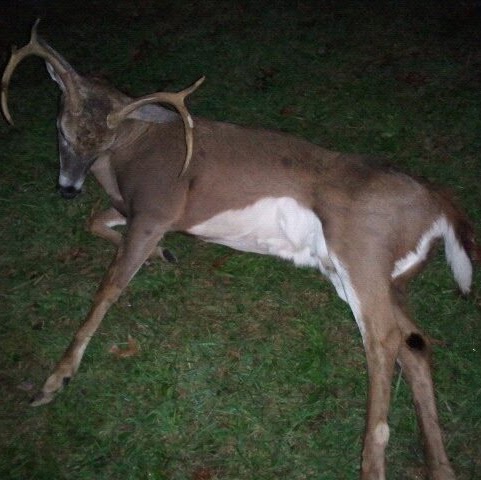 John Mcclellan Photo 35