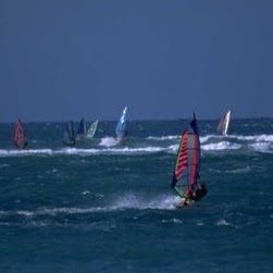 Stephen York Photo 22