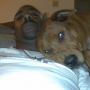 Stephen Mason Photo 17