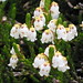 Heather White Photo 11