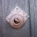 Mary Combs Photo 19