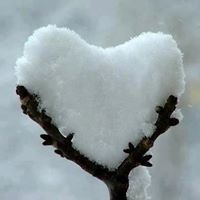 Debbie Graves Photo 8