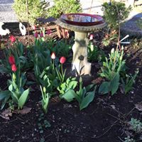 Jeanne Marshall Photo 24