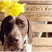 Christine Walter Photo 16