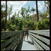 Kristine Lombardo Photo 13