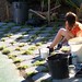 Susan Plant Photo 9