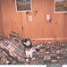 Carol Alexander Photo 34