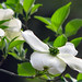 Anne White Photo 29
