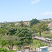 Rosa Estrada Photo 26
