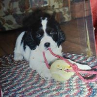 Kelly Henson Photo 34
