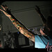 Megan Lloyd Photo 7