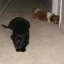 Lisa Ervin Photo 27