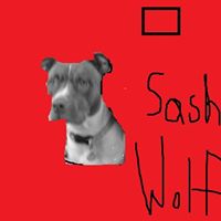 Sasha Wolfe Photo 5