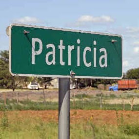 Patricia Hopkins Photo 28