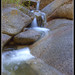 Anne White Photo 33