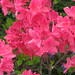Jane Abbott Photo 29