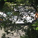 Martha Reagan Photo 9