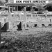 Debra Graves Photo 14